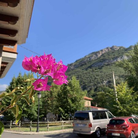 Cumbres De Los Picos Apartamento Los Abedules Poo  Ngoại thất bức ảnh