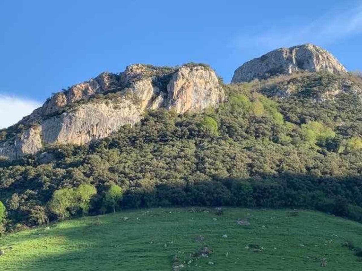 Cumbres De Los Picos Apartamento Los Abedules Poo  Ngoại thất bức ảnh